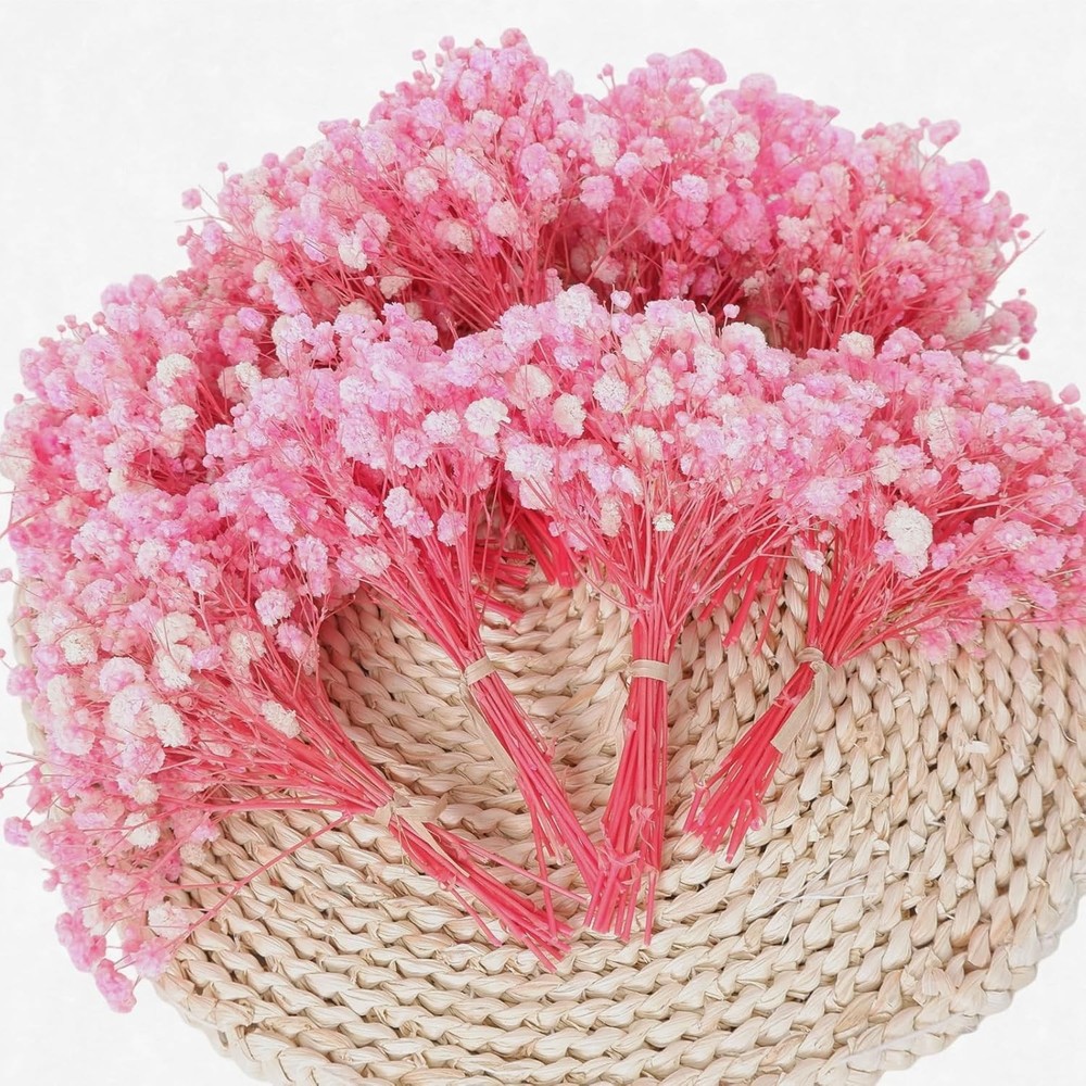 9000+ Bloom Pink Dried Babys Breath Flowers 150 Stems – Bulk Gypsophila