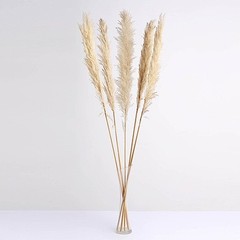 6 SPRAYS STEMS 49″ Natural Pampas Grass Dried Plant Party Events Decorations