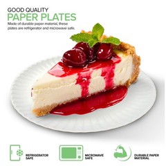 Stock Your Home 6-Inch Paper Plates Uncoated Everyday Disposable Dessert Plates