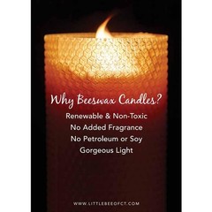 8 Inch Hand-Rolled Beeswax Taper Candles – Little 8 Single Pair, Ivory