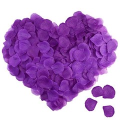 obmwang 2000 PCS Artificial Silk Rose Petals for Wedding Party Favors Purple