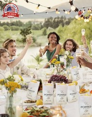 48pcs He Popped the Question Popcorn Bags – Engagement, Bridal Shower, Wedding P