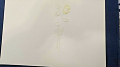VINTAGE Invitation/ Announcement Cards 50 Card/pk 5″ x 6 1/2″ Embossed