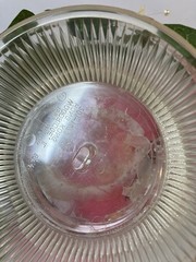 Vintage 80’s Wedding Acrylic Heart with Pink Floral Wilton Cake top