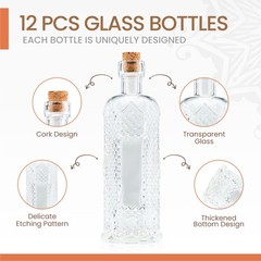 BULK PARADISE Small Mini Clear Vintage Glass Bottles with X-Small,