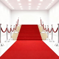 900 GSM Extra Thick 3×10 ft Red Carpet Runner for Partys, Polyester Aisle Rug