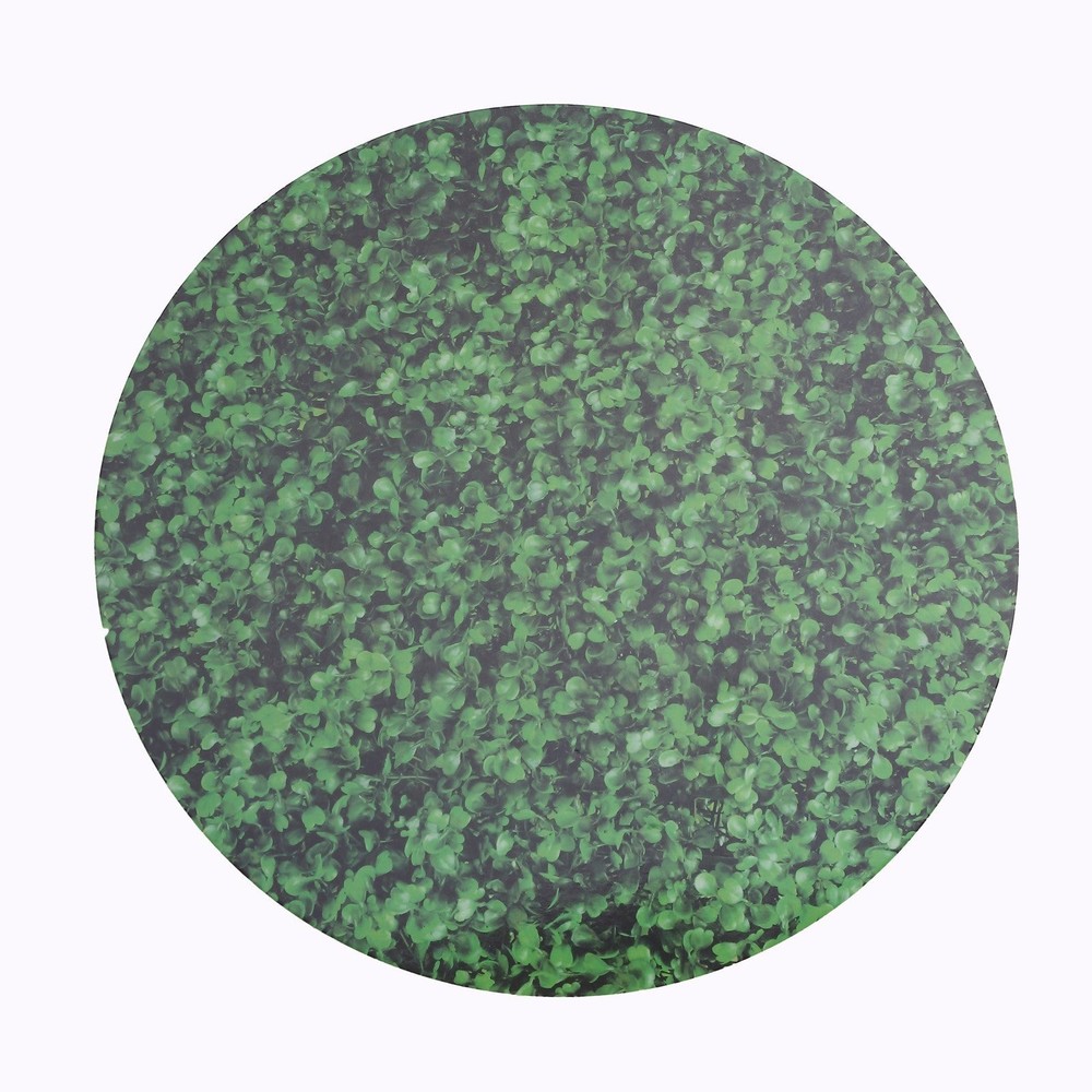 Green 6 Round 13″ Boxwood Leaf Print Cardstock Paper Placemats Party Decorations