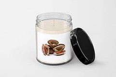 Smooth Clams Candle – Soy Wax Candle – Hand Poured Candle