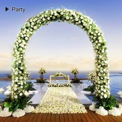 Metal Garden Arch,7.8 Feet High x 5.5 Wide Sturdy Brown Strengthen