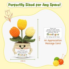 Handmade Crochet Tulip Emotional Support Thank You Gift