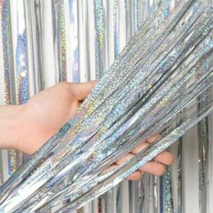 Metallics Foil Fringe Curtain Tinsel Kid Birthday Party Decor Wedding Home