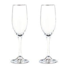 Champagne Flutes Set Elegant Toasting Glasses Perfect Weddings Celebrations 2 PC