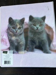 Vintage 2007 Keith Kimberlin 1” 3 Ring Binder Cute Kittens