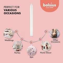 BOLSIUS 10 Count Household White Dinner Candles – 9 Inches – 10 Count,