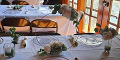 6 Pc Wedding Table Centerpieces, Green, Ivory, Round, Circle, Gold, Wood