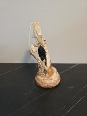 Vintage Wedding Cake Topper By Coast Novelty. Wedding Bell Vintage Bride And Grm