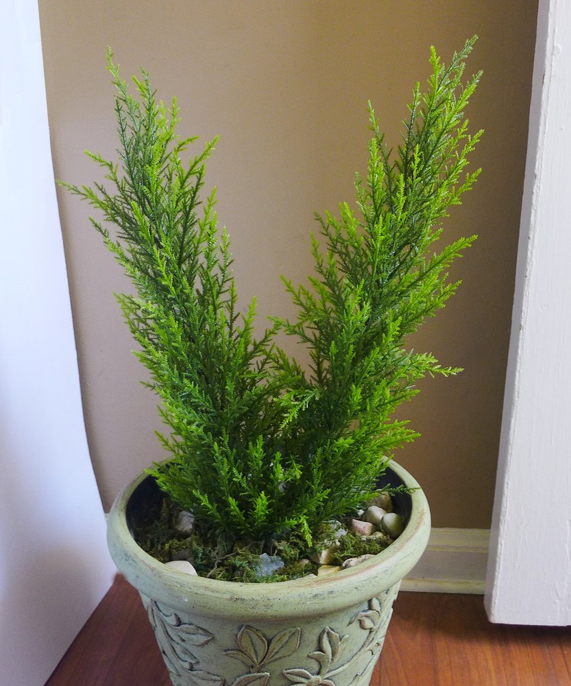 Artificial Palm Plants Small Pine tree Bush (18” Height)