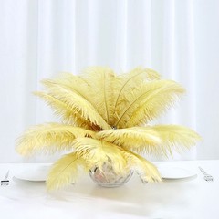 12 pcs 13-15″ long Gold Genuine Ostrich FEATHERS Wedding Party Centerpieces