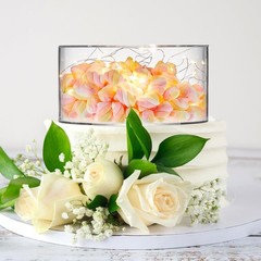 2 Pcs Clear Acrylic Cake Stands with LED Strings – Fillable Dessert Risers for P