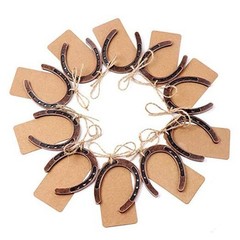 30PCS Good Lucky Horseshoe Wedding Favors for Guests, Vintage Craft Metal