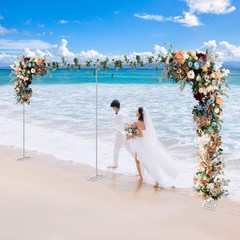 Wedding Backdrop Stand Metal 50*23cm Wedding Flower Stand 6*3m Background Stand
