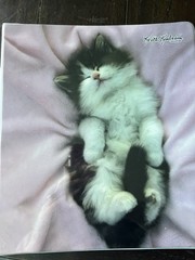 Vintage 2007 Keith Kimberlin 1” 3 Ring Binder Cute Kittens