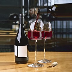 Slanted White Wine Glasses Set of Modern No-lead Hand-Blown Long Stem Red 2
