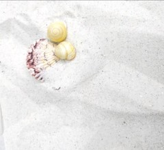 20 lbs. Natural White Beach Sand, Play sand, Sandbox Sand, Crafts and more.