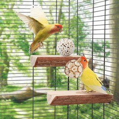 andwe Sola Bird Toy Balls – Natural Soft Chew & Shredding Foraging for Cockatiel