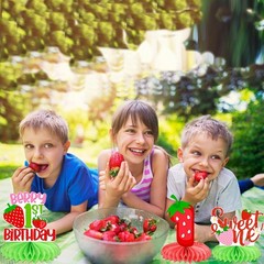 Berry Sweet One Honeycomb Centerpieces First Birthday Table Multicolor