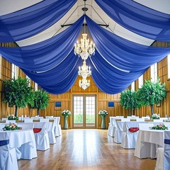 FANPROMS 4 Panels Royal Blue Ceiling Drapes Wedding Decorations Sheer Chiffon…