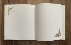 Our Wedding Anniversary Guest Book