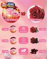 Preserved Flowers in Glass for Her,Pink Real Rose Bouquet with Pink