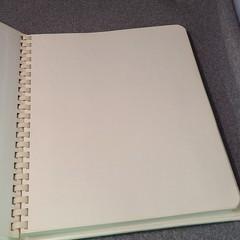 Vintage 1983 Hallmark Wedding Photo Album Embossed Doves, NIB Cream Colored