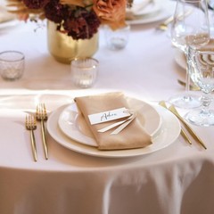 Wedding Place Cards 50pcs, 1.57 x 3.54 Inch Banquet Table Name Tags, Beige