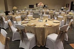 Durable Satin Chair Ties 50 Count Royal Blue for Engagement and Birthday Events