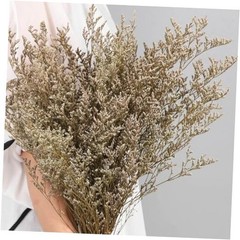 Dried Flowers Bouquet, Dry Caspia Flower Bundle, Floral Lavender, Babys Natural