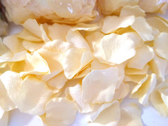 2080 Artificial Cream Flower Petals and 133 Balloons Confetti Event Party Supply
