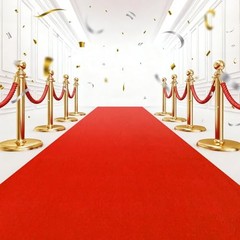 900 GSM Extra Thick 3×10 ft Red Carpet Runner for Partys, Polyester Aisle Rug