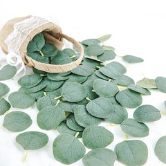 200 Frosted Green Artificial Eucalyptus GREENERY LEAVES Party Events Decorations