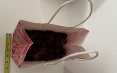 2 DOZEN RED Fresh Rose Petals Dried for Crafts Baths Potpourri Candles FREE SHIP