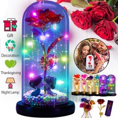 LED Eternal Galaxy Rose in Glass Enchanted Forever Flower Thanksgiving Xmas Gift