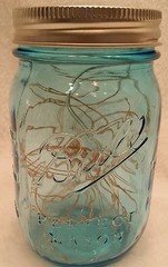 1 Pair Blue Pint Vintage Style Mason Jar w/ 30 Copper-wired Fairy Lights Lantern