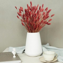 120pcs Fall Burnt Orange Bunny Tails Dried Flowers,17″