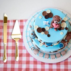 Cake Knife and Server Set, Cake Cutter and Pie Spatula, Cake Serving Set with…