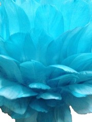 Centerpiece Feather Ball Large Wedding Ball Kissing Ball 16 inches Turquoise USA