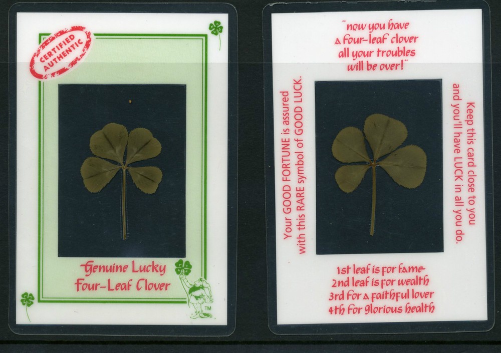 GENUINE ORIGINAL LUCKY 4 LEAF CLOVER LAMINATED CREDIT CARD SIZE over 30 years ol