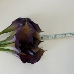 EUC REAL TOUCH PURPLE/GOLD CALLA LILY FLOWER – 6 STEMS 19” Tall
