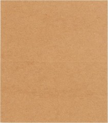 Place Cards for Weddings Dinner Parties Rustic Kraft 100 Count