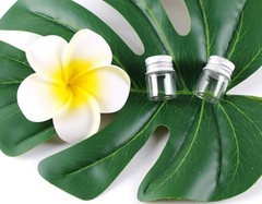 Mini Glass Bottles with Screw Caps 5ml 24 Sets Aluminum Top Metal Lids
